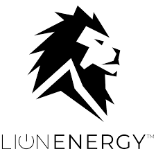 Lion Energy Square Logo with Words
